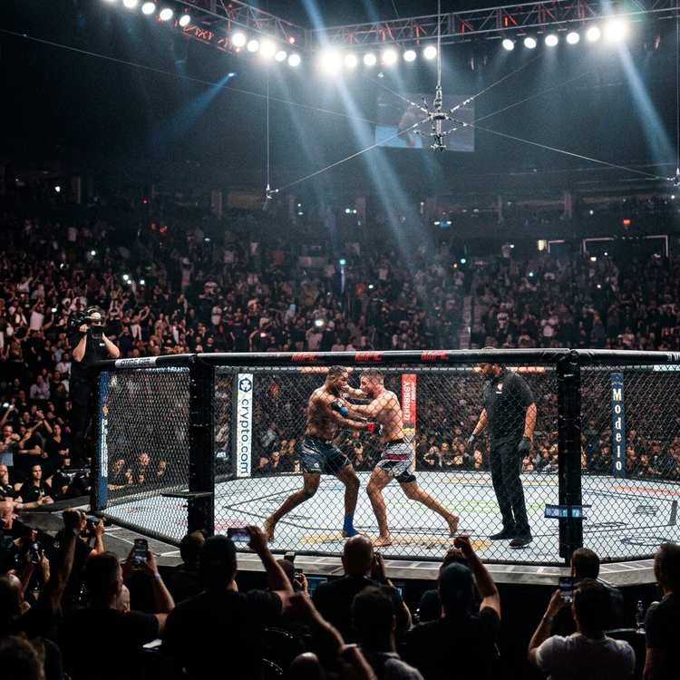 UFC gevecht in cage